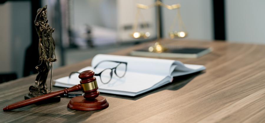 WhatsApp_Image_2024-08-27_at_3.24.21_PM